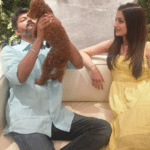 Trisha and vijay affair