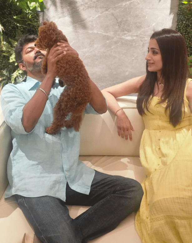 Trisha and vijay affair